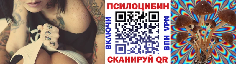 Псилоцибиновые грибы Cubensis  Купить где  Семёнов 